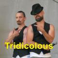 A 045 Tridicolous